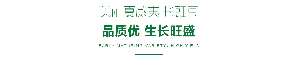 1557990325812873.jpg 詳情頁.jpg