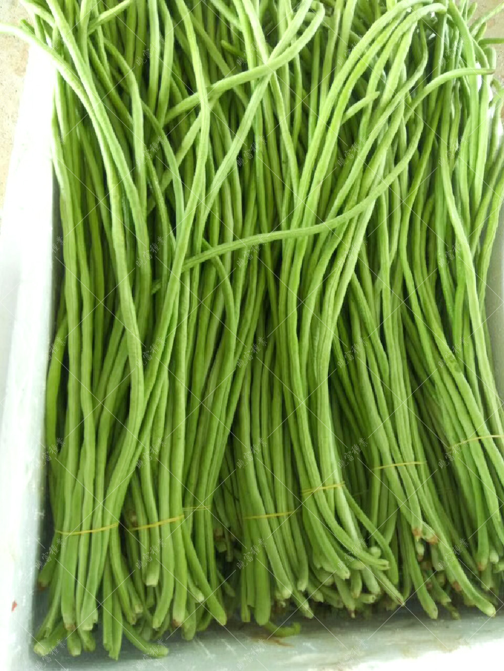 1557990339535437.jpg 52.jpg