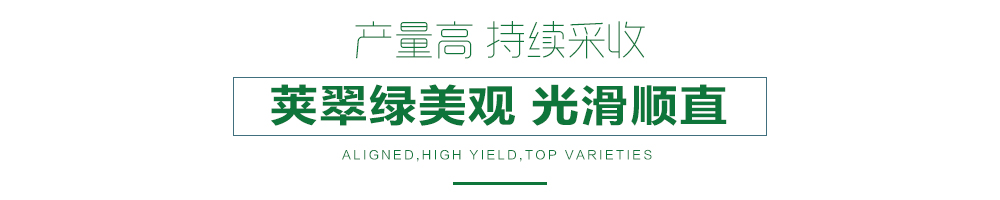 1557993277545088.jpg 詳情頁(yè)24.jpg