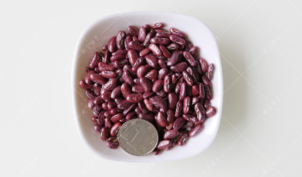 1558055740340269.jpg 未標(biāo)題-1.jpg