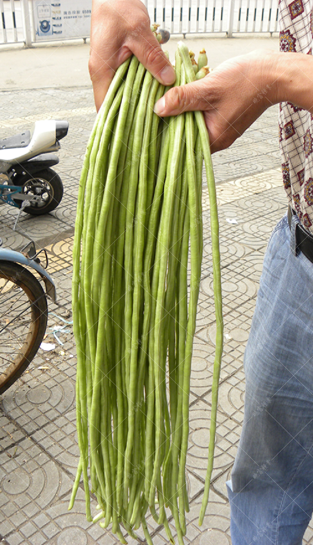 1558057495426344.jpg 51.jpg