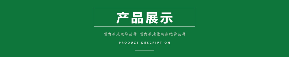 1558080382377632.jpg 00新產(chǎn)品.jpg