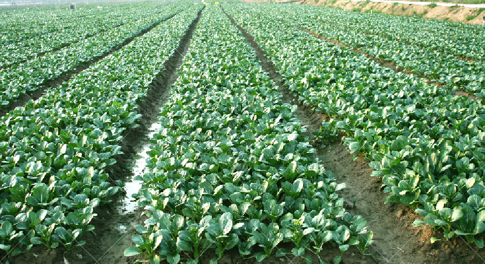 1558595691457370.jpg 57.jpg