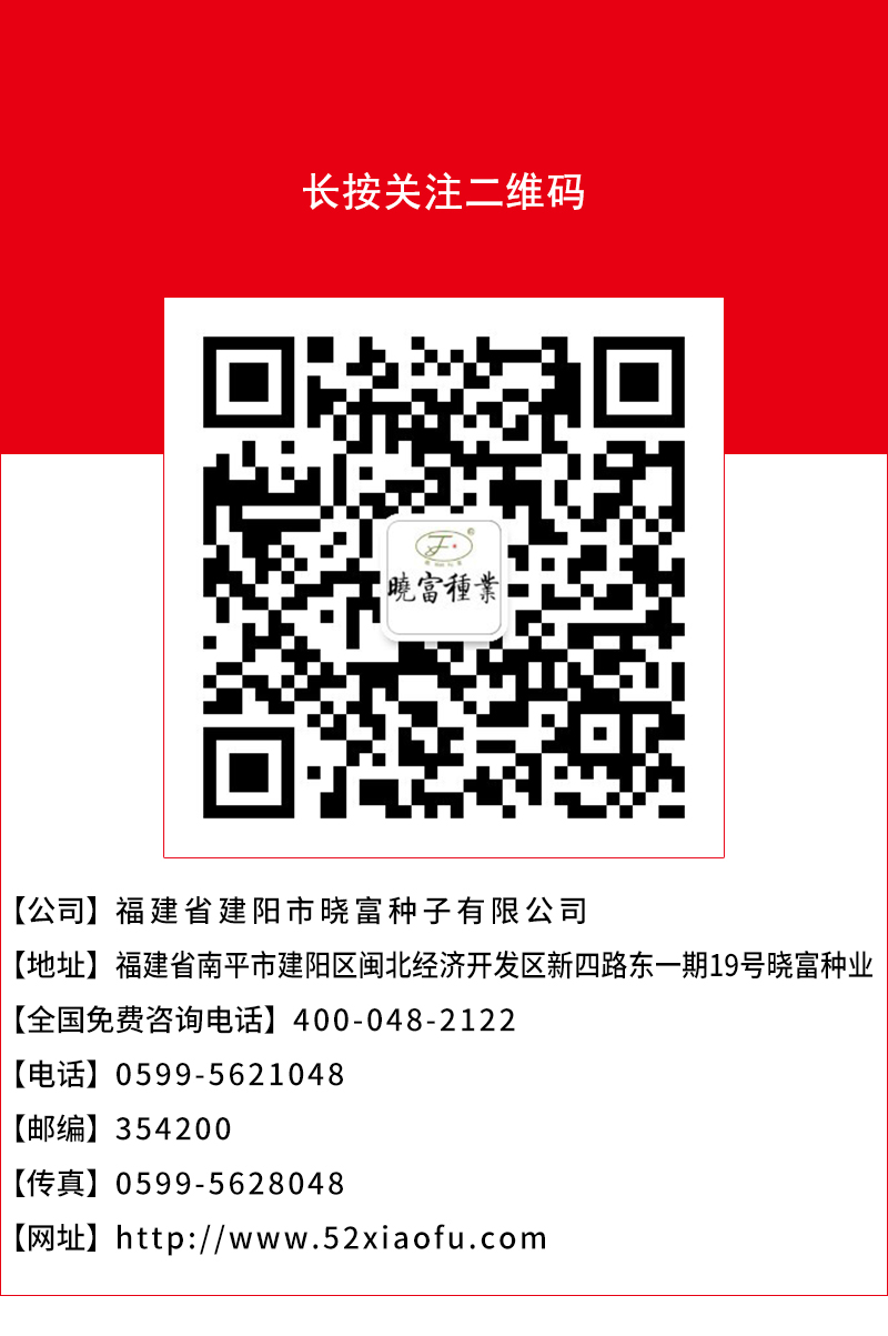 1600330727581578.jpg 頁底.jpg